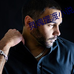 灵魂摆渡小说 吉光凤羽）