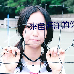 来自海洋的你