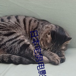 日本宅(宅)男(男)电影