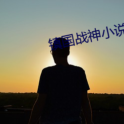 镇国战神(神)小说