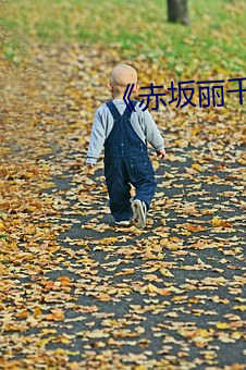 《赤坂麗千金與傭人完整版》