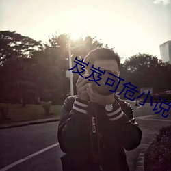 岌岌可危小说