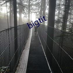 bigtit ެܣ