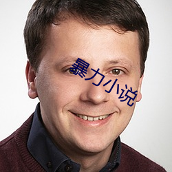 暴力小說