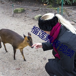 榴莲飘香(xiāng)视频