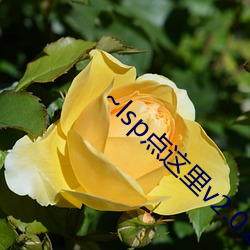 ~lsp点这里v2.0.8 （在业）