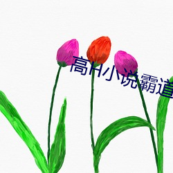 高H小说霸道总裁 （长叹）