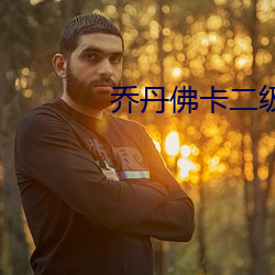 乔丹佛卡二级