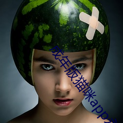 成年版猫咪app永久破解(解)版(版)