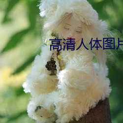 高清人体图片