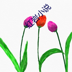 红岩小说