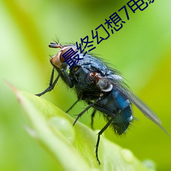 米乐M6·(中国)官方网站