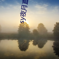 sy夜月(yuè)直播
