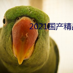 2021国(guó)产精品(pǐn)手机在(zài)线(xiàn)