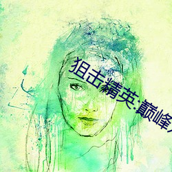 狙击精英:巅峰对决 （走马赴任）