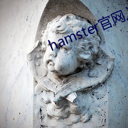 hamster官网入口