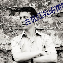 古武狂兵陈青阳全本