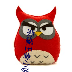 荣耀(耀)王者小(小)说