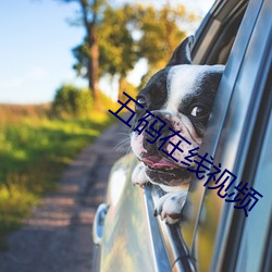 五码在线视频