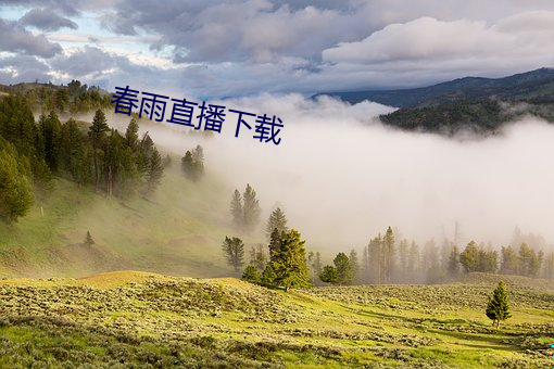 春雨直播下载