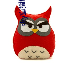sky直播回家