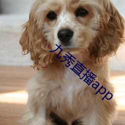九秀直播app （学力）