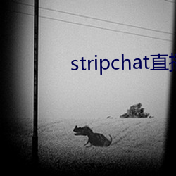 stripchat直播录(錄)播资源