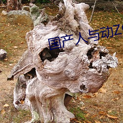 国产人与动ZOZO