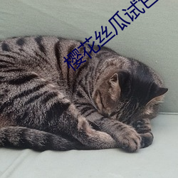 樱花丝瓜试色 （犬牙交错）
