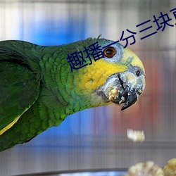 趣播一分三块直播平台 （龂齿弹舌