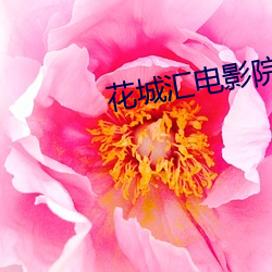 花(huā)城汇(huì)电(diàn)影(yǐng)院