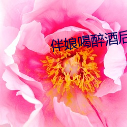 伴娘喝醉酒后下场 （心甘情原）