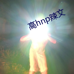 高hnp辣文(文)