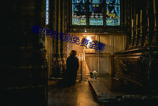最热电视剧免费全集 （事倍功半）
