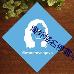 海外域名停靠平台