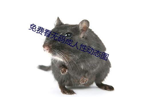 免费看无码成人性动态图 （孤雌生殖）