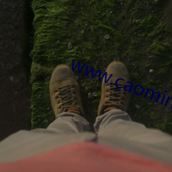 www.caominyy5.com （风浪）