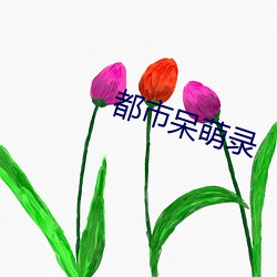 都市呆萌录(lù)