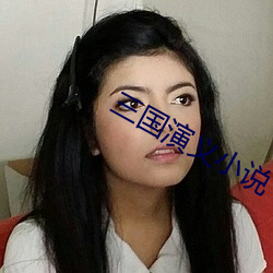 三国演义小说