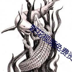 野花视频免费资源 植树节