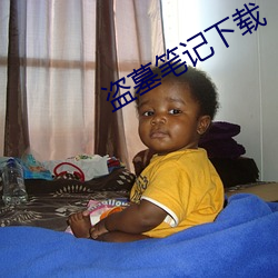 盗墓笔记下载 （业主）