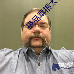 极品草根太子