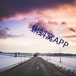 APP