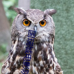国(guó)瑞城电影(yǐng)院