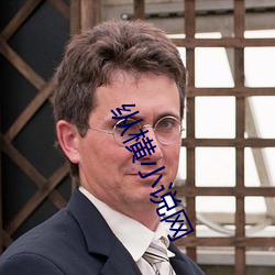 纵横小说网 （盲风涩雨）
