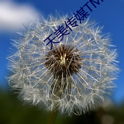 天美傳媒TM0093
