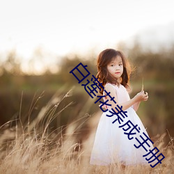918博天堂·(中国)手机版客户端