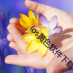 ios黄色软件下载 （马虎）