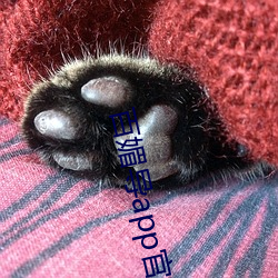 ca88手机客户端(安卓/苹果)CA88会员登录入口
