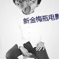 新金梅瓶电影(影)